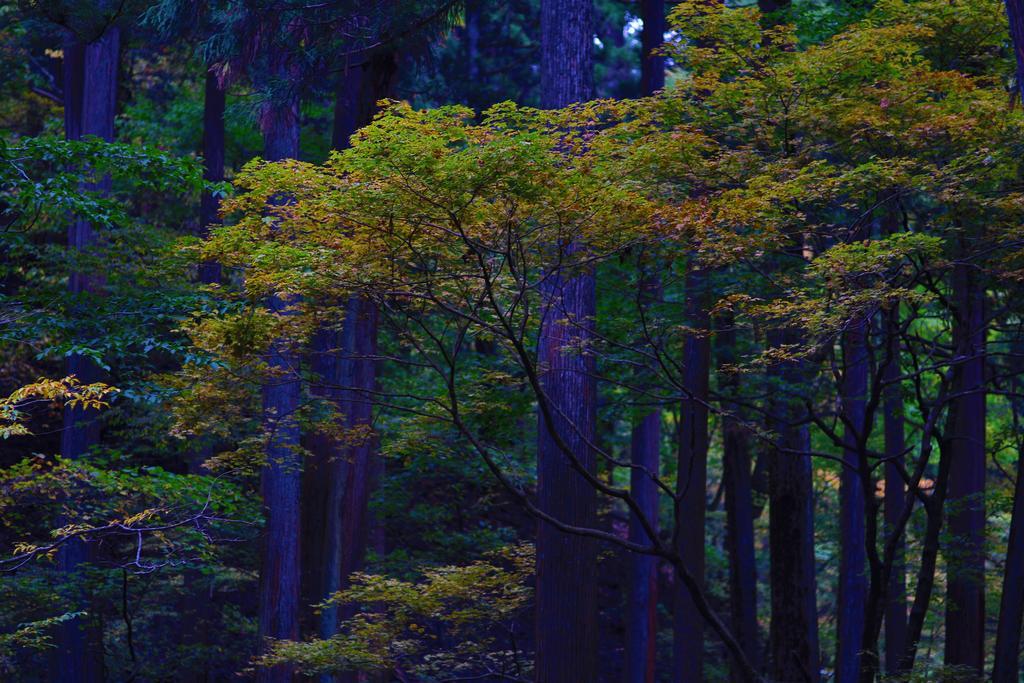 Nikko Pension L'Escale Exteriér fotografie